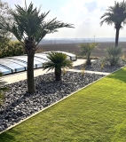 Hochwertige XXL Kunstpalme im Kokospalmen-Look – ca. 3,5 m Gesamth�he