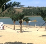 Hochwertige XXL Kunstpalme im Kokospalmen-Look – ca. 3,5 m Gesamth�he