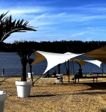 Hochwertige XXL Kunstpalme im Kokospalmen-Look – ca. 3,5 m Gesamth�he